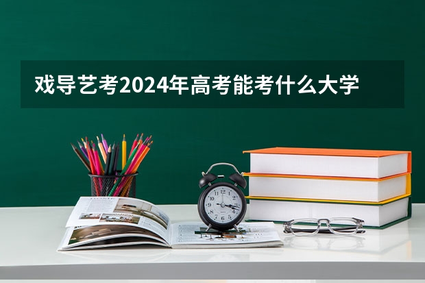 戏导艺考2024年高考能考什么大学？