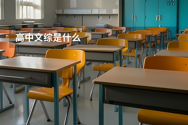 高中文综是什么