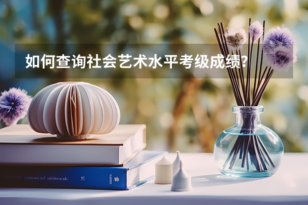 如何查询社会艺术水平考级成绩？
