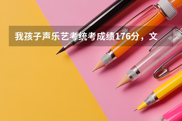 我孩子声乐艺考统考成绩176分，文科成绩357分，哪位大神帮我分析一下，可以报考什么样的学校？