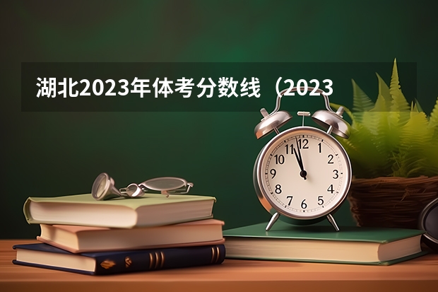 湖北2023年体考分数线（2023年湖北体育高考分数标准）