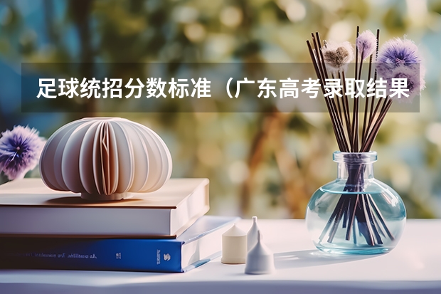 足球统招分数标准（广东高考录取结果查询登录网址入口）