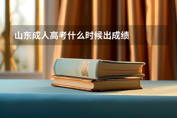 山东成人高考什么时候出成绩