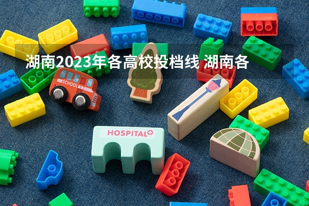 湖南2023年各高校投档线 湖南各大学排名及录取分数线