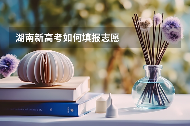 湖南新高考如何填报志愿