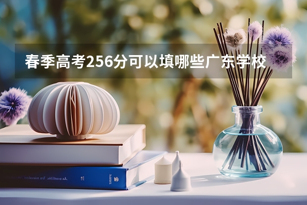 春季高考256分可以填哪些广东学校