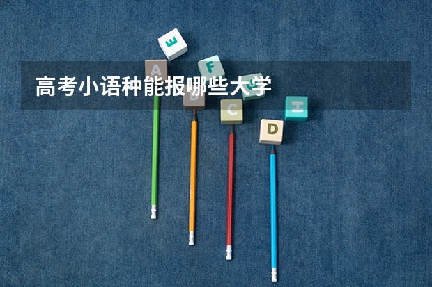 高考小语种能报哪些大学