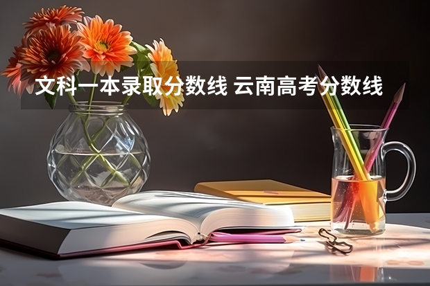 文科一本录取分数线 云南高考分数线