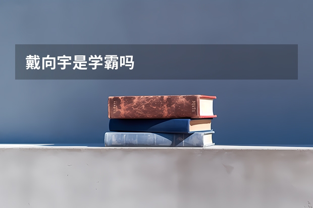 戴向宇是学霸吗