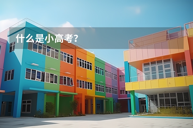 什么是小高考？
