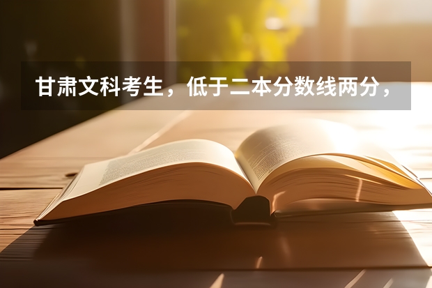 甘肃文科考生，低于二本分数线两分，能上二本公办大学吗，补录机会是否较大，希望能有指导性建议？