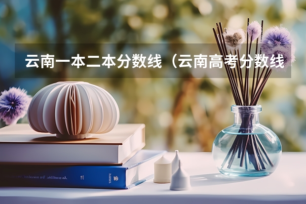云南一本二本分数线（云南高考分数线一分一段）