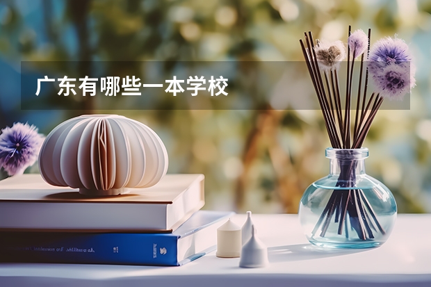 广东有哪些一本学校
