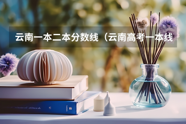 云南一本二本分数线（云南高考一本线）