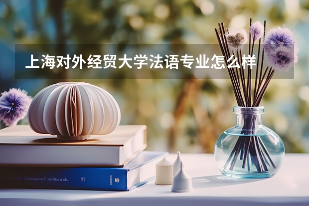 上海对外经贸大学法语专业怎么样
