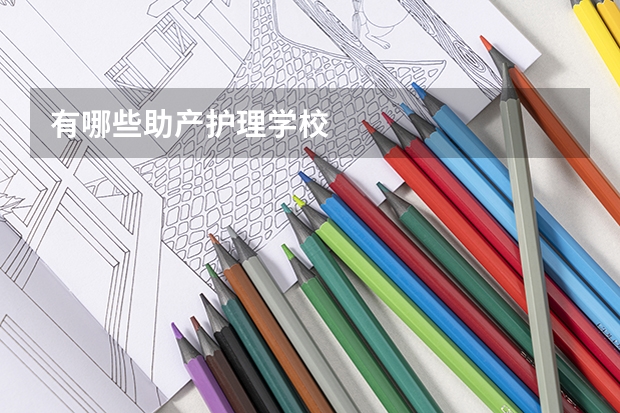 有哪些助产护理学校