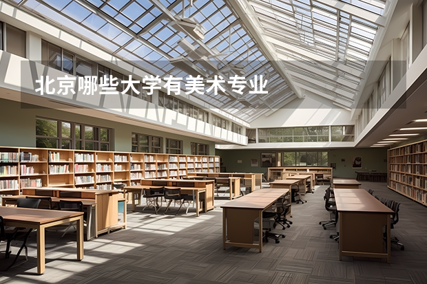 北京哪些大学有美术专业