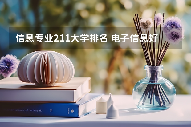 信息专业211大学排名 电子信息好的211大学