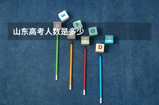 山东高考人数是多少
