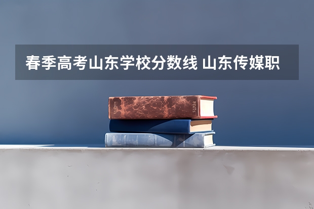 春季高考山东学校分数线 山东传媒职业学院分数线