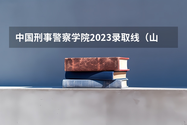 中国刑事警察学院2023录取线（山西警察学院2023年分数线）