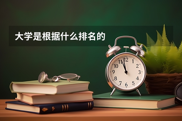 大学是根据什么排名的