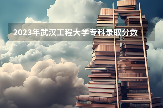 2023年武汉工程大学专科录取分数线是多少？