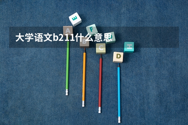 大学语文b211什么意思