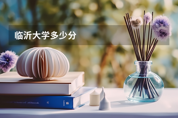 临沂大学多少分