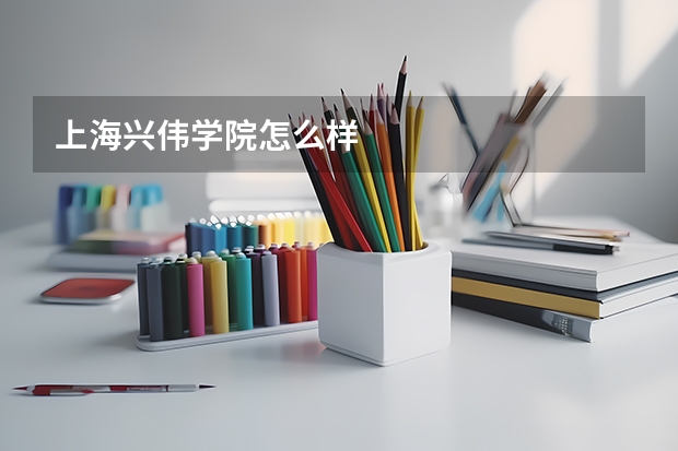 上海兴伟学院怎么样