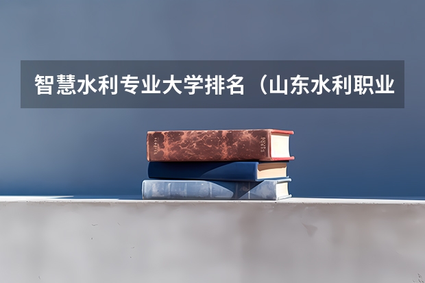智慧水利专业大学排名（山东水利职业学院在山东排名）
