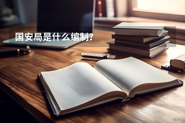 国安局是什么编制？