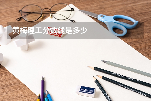 黄梅理工分数线是多少