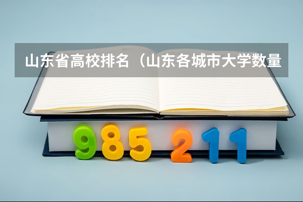 山东省高校排名（山东各城市大学数量排名）