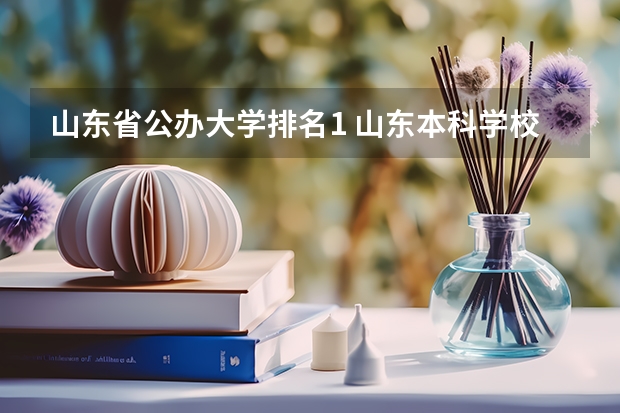 山东省公办大学排名1 山东本科学校排名公办大学