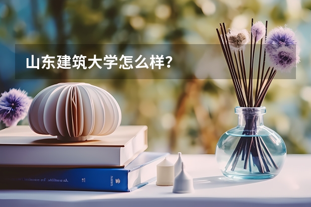 山东建筑大学怎么样？