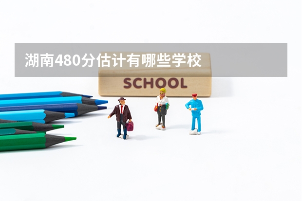 湖南480分估计有哪些学校