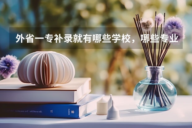 外省一专补录就有哪些学校，哪些专业？