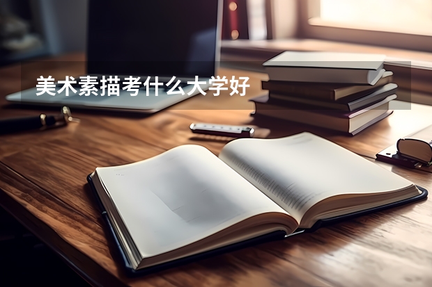 美术素描考什么大学好