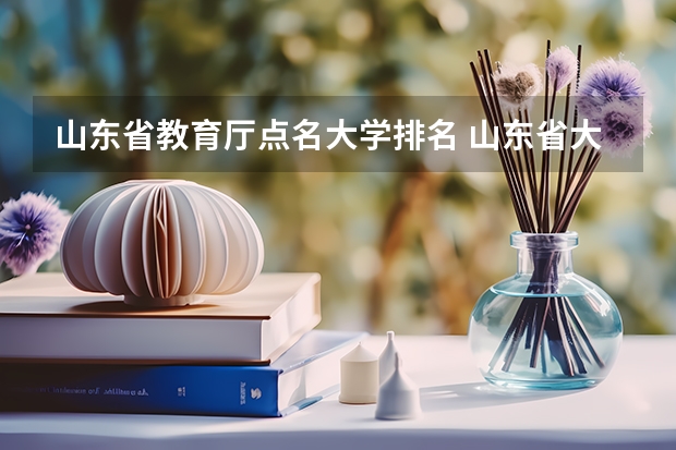 山东省教育厅点名大学排名 山东省大学排名