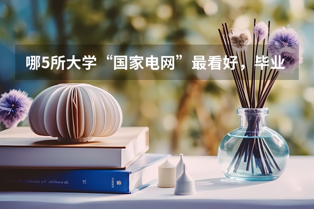 哪5所大学“国家电网”最看好，毕业生很抢手，考上就是铁饭碗？ 电力专业大专院校排名