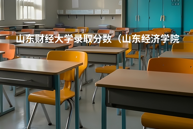 山东财经大学录取分数（山东经济学院分数线）
