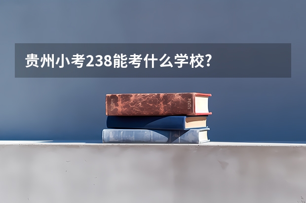 贵州小考238能考什么学校?