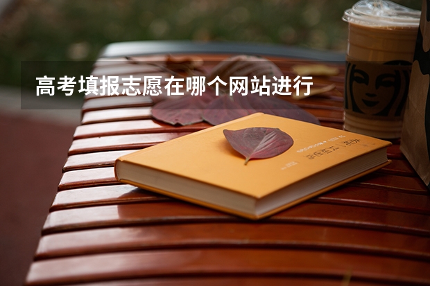 高考填报志愿在哪个网站进行
