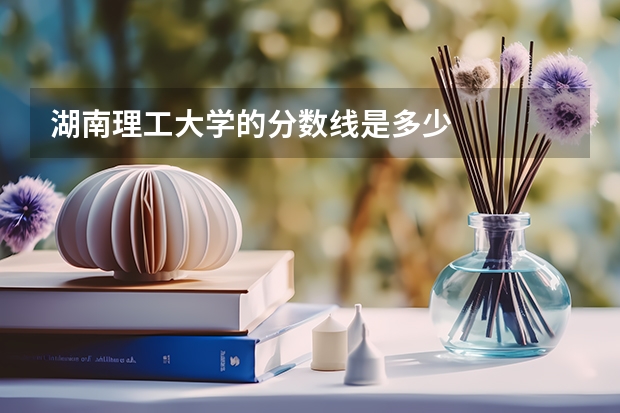 湖南理工大学的分数线是多少