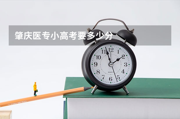 肇庆医专小高考要多少分