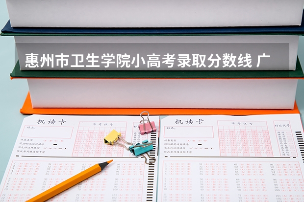 惠州市卫生学院小高考录取分数线 广东2023小高考分数线
