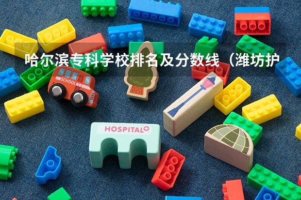 哈尔滨专科学校排名及分数线（潍坊护理学校分数线）