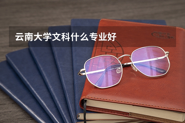 云南大学文科什么专业好