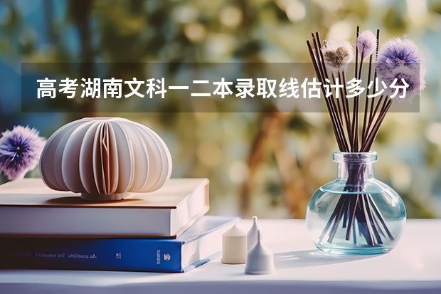 高考湖南文科一二本录取线估计多少分